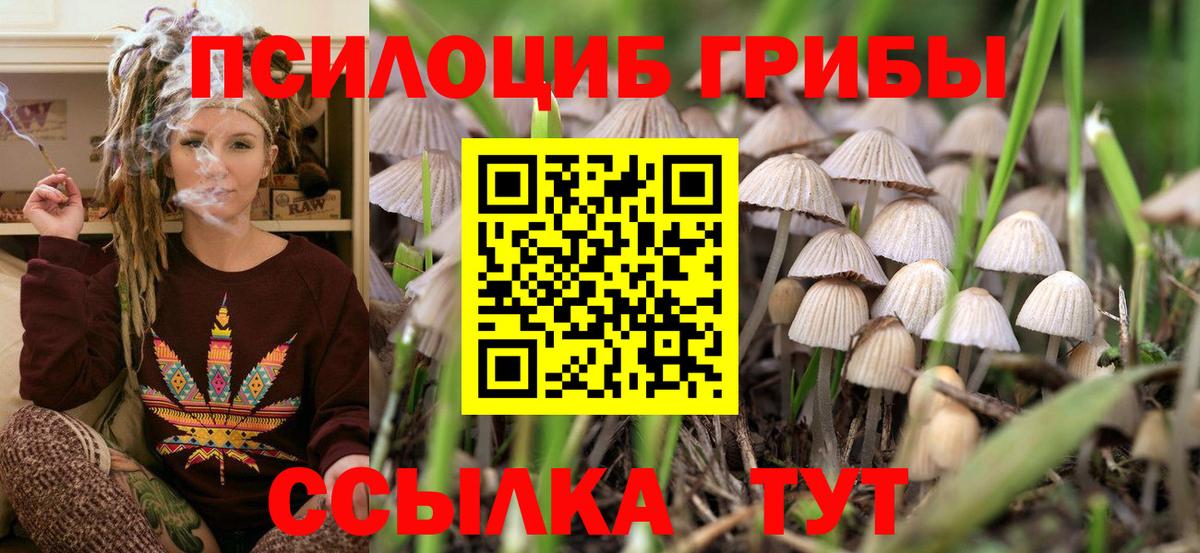 Галлюциногенные грибы GOLDEN TEACHER Красноярск